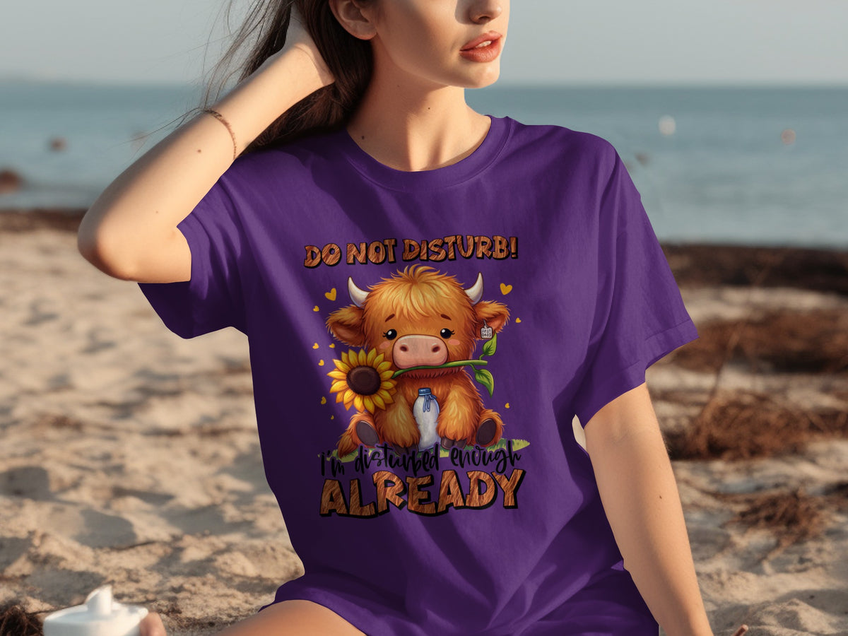 Do Not Disturb I'm Disturbed Enough Already T-Shirt