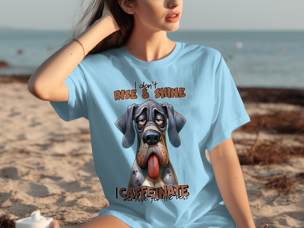 I Don't Rise and Shine I Caffeinate T-shirt