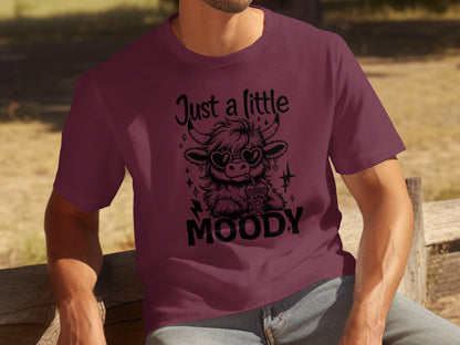 Just a Little Moody Funny Graphic Tee Shirt