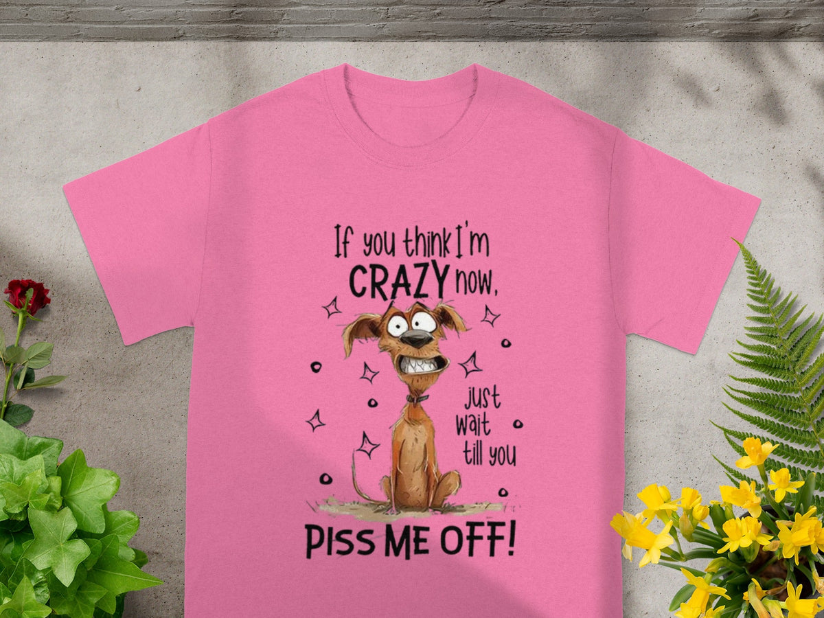 If You Think I'm Crazy Now Just Wait Till You Piss Me Off T-shirt