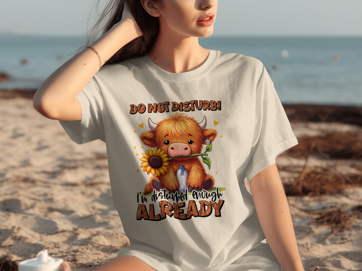 Do Not Disturb I'm Disturbed Enough Already Shirt