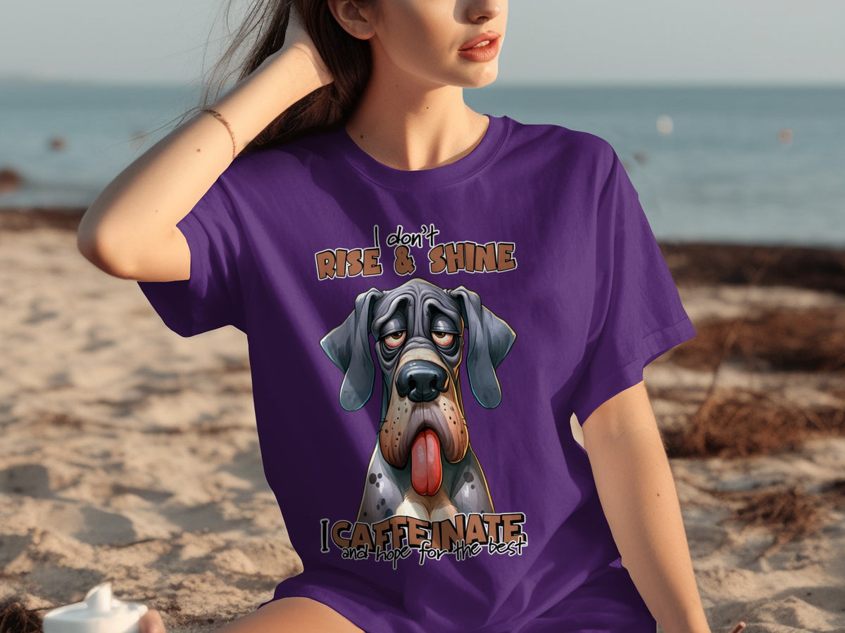 I Don't Rise And Shine I Caffeinate And Hope T-Shirt