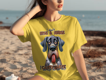 I Don't Rise & Shine I Caffeinate and Hope Shirt