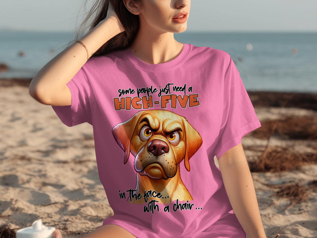 Some People Need High-Five in the Face T-shirt