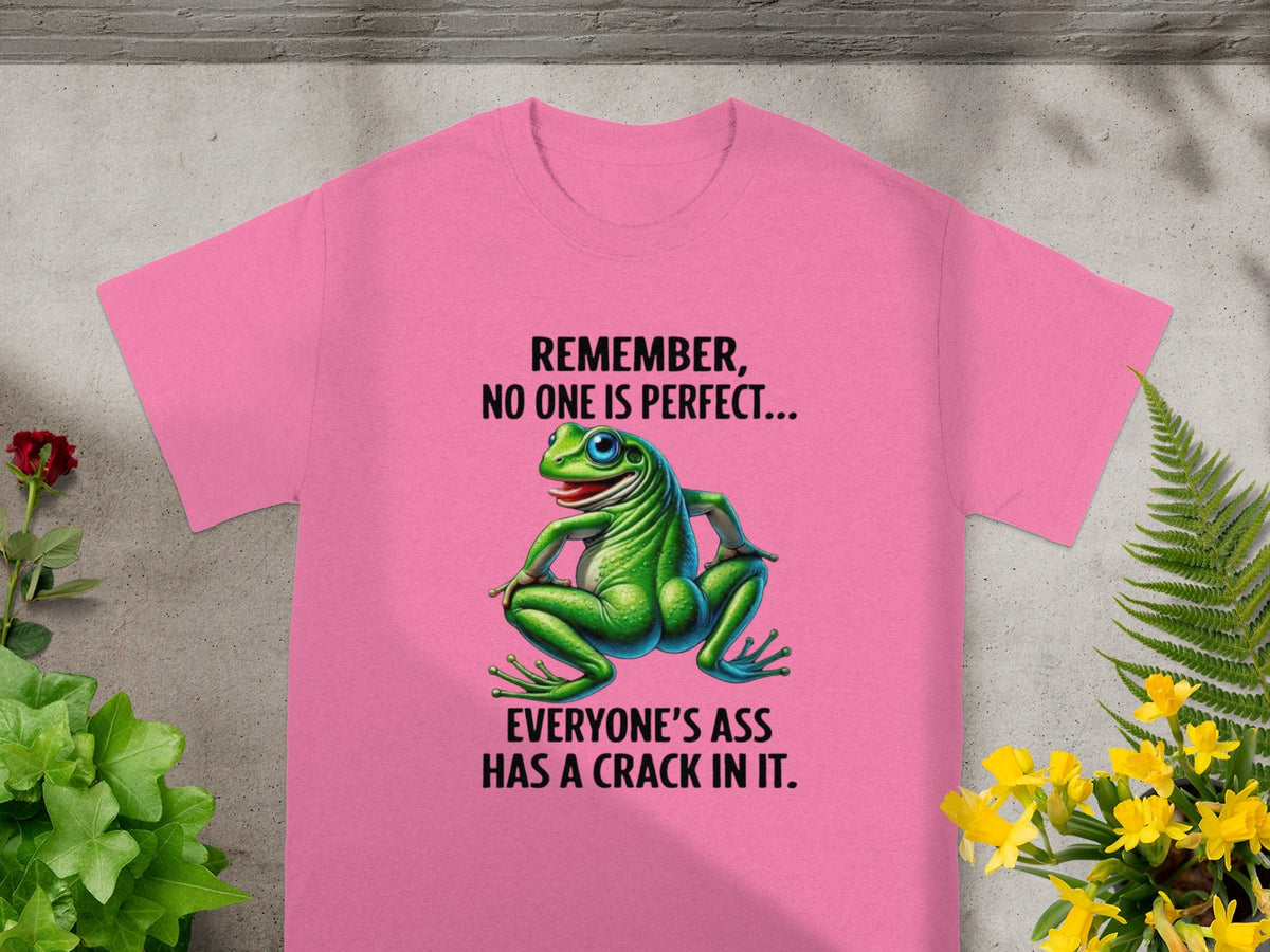 Remember No One Is Perfect Funny Frog T-Shirt