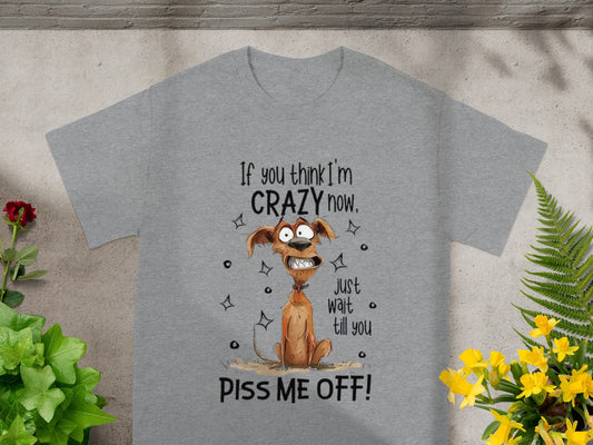 If You Think I'm Crazy Now Piss Me Off T-Shirt