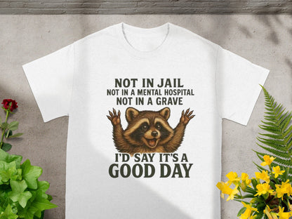Not in Jail Not in a Grave Funny Raccoon T-Shirt